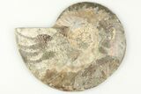 Bargain, Cut & Polished Ammonite Fossil (Half) - Madagascar #200063-1